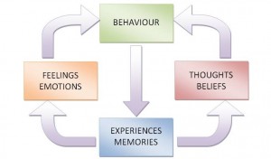 behaviour cycle