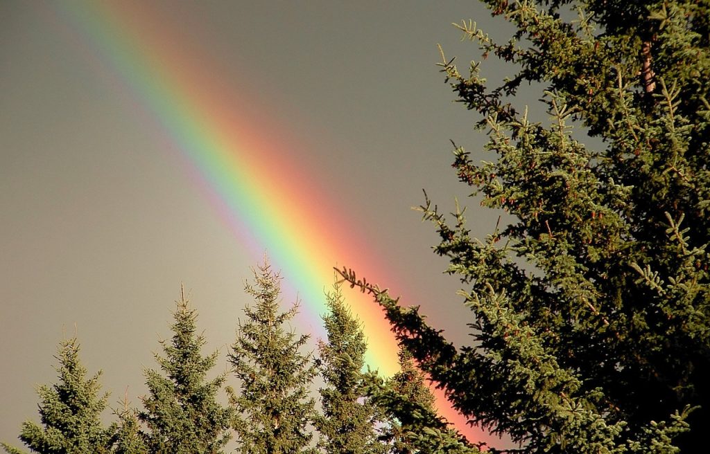 damn-rainbows-1197002-1280x960
